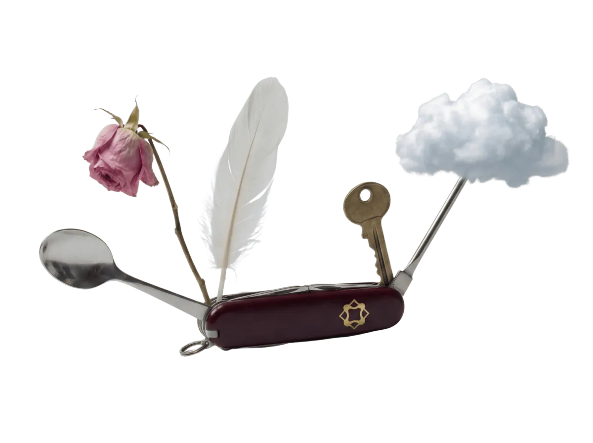 Swiss knife — Salt edition