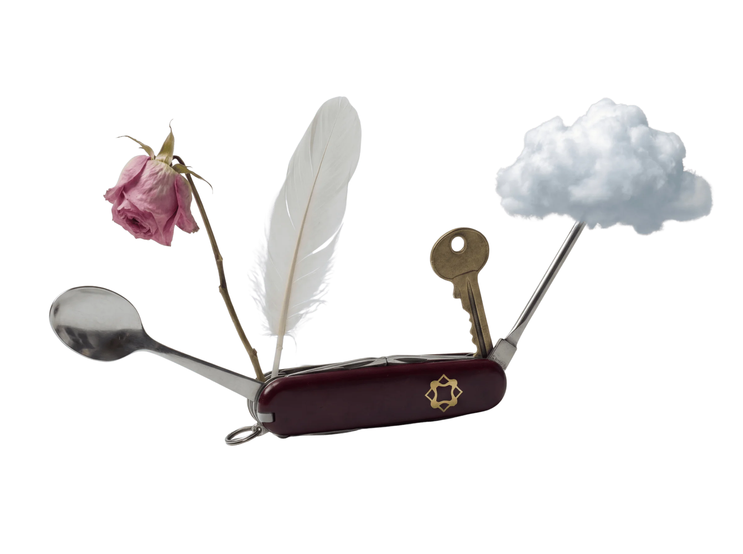 Swiss knife — Salt edition